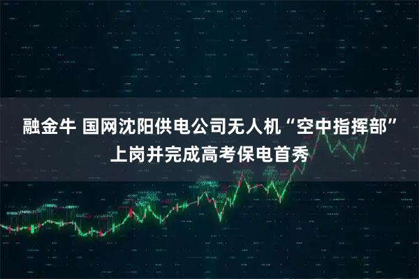 融金牛 国网沈阳供电公司无人机“空中指挥部”上岗并完成高考保电首秀