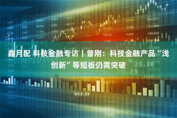 鑫月配 科技金融专访｜曾刚：科技金融产品“浅创新”等短板仍需突破