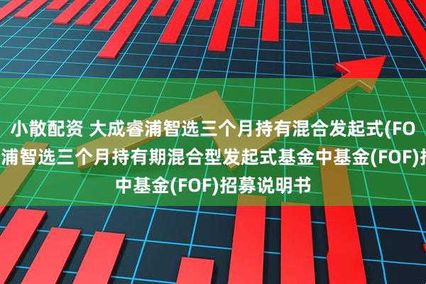 小散配资 大成睿浦智选三个月持有混合发起式(FOF): 大成睿浦智选三个月持有期混合型发起式基金中基金(FOF)招募说明书