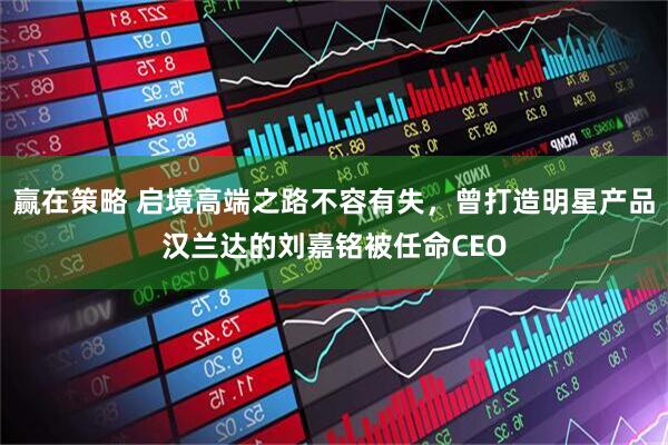 赢在策略 启境高端之路不容有失，曾打造明星产品汉兰达的刘嘉铭被任命CEO