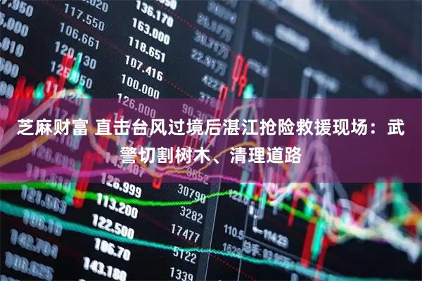 芝麻财富 直击台风过境后湛江抢险救援现场：武警切割树木、清理道路